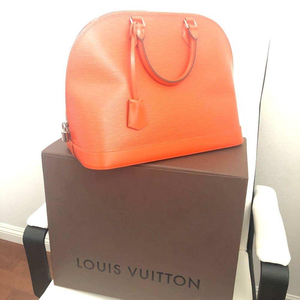 Louis Vuitton Brand New Purse